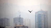 امضای قرارداد همکاری ایران و ژاپن برای کاهش آلودگی هوای تهران