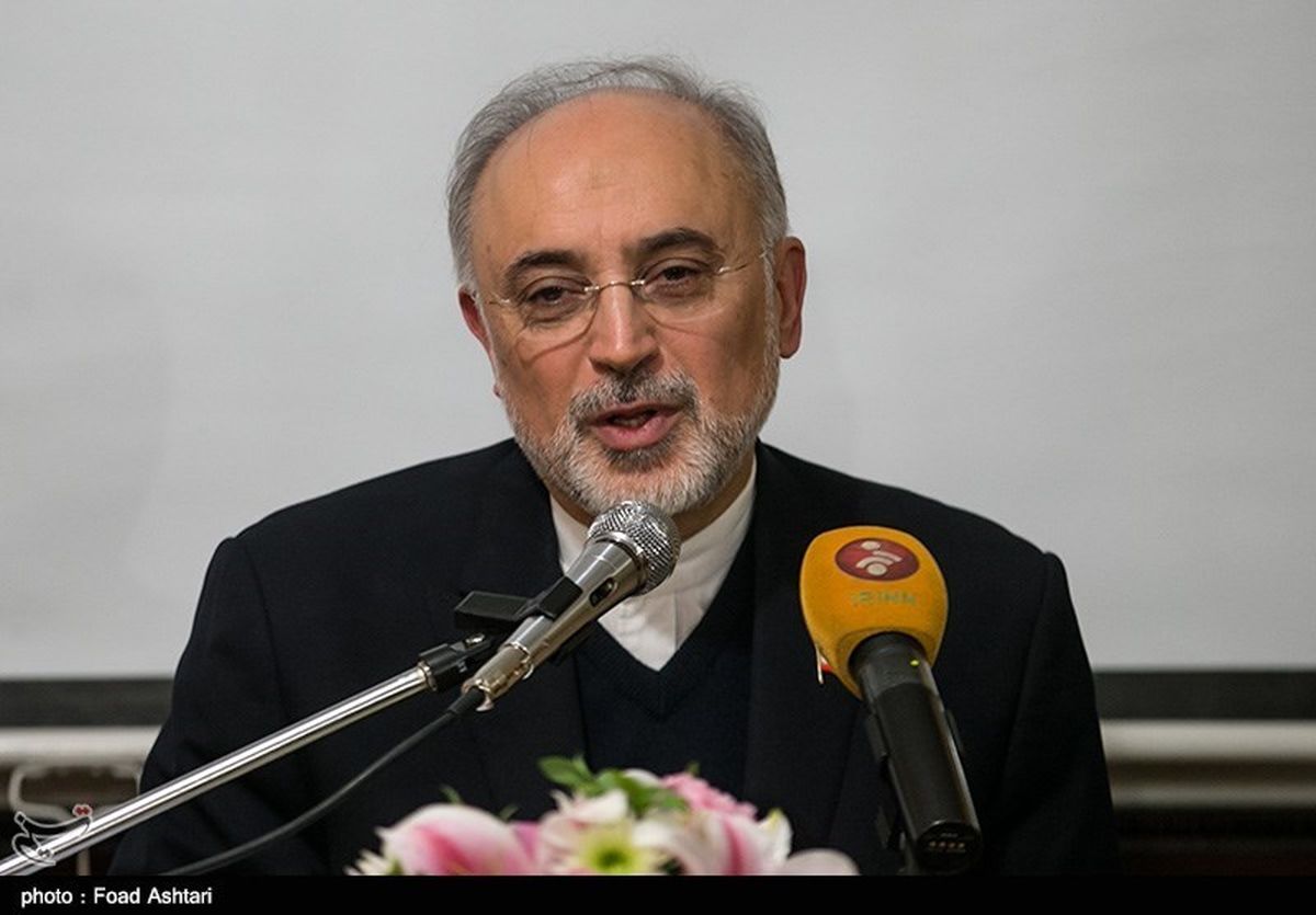 صالحی: ایران ۲ نیروگاه هسته‌ای دیگر در بوشهر می‌سازد