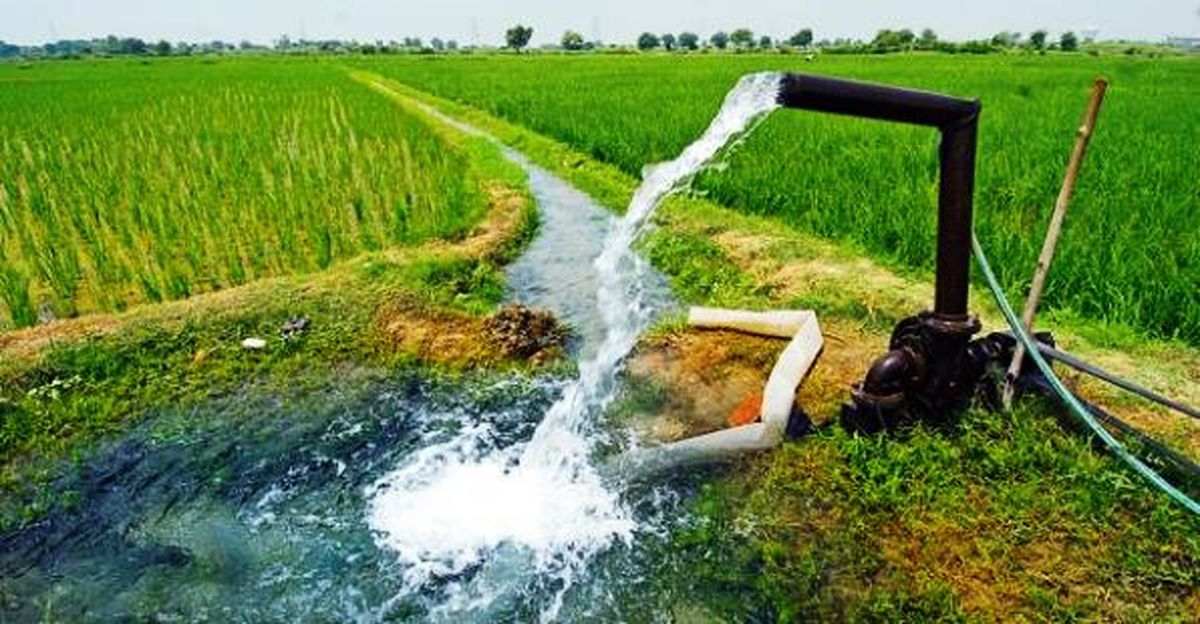 آب مهمترین چالش و مشکل بخش کشاورزی در کشور