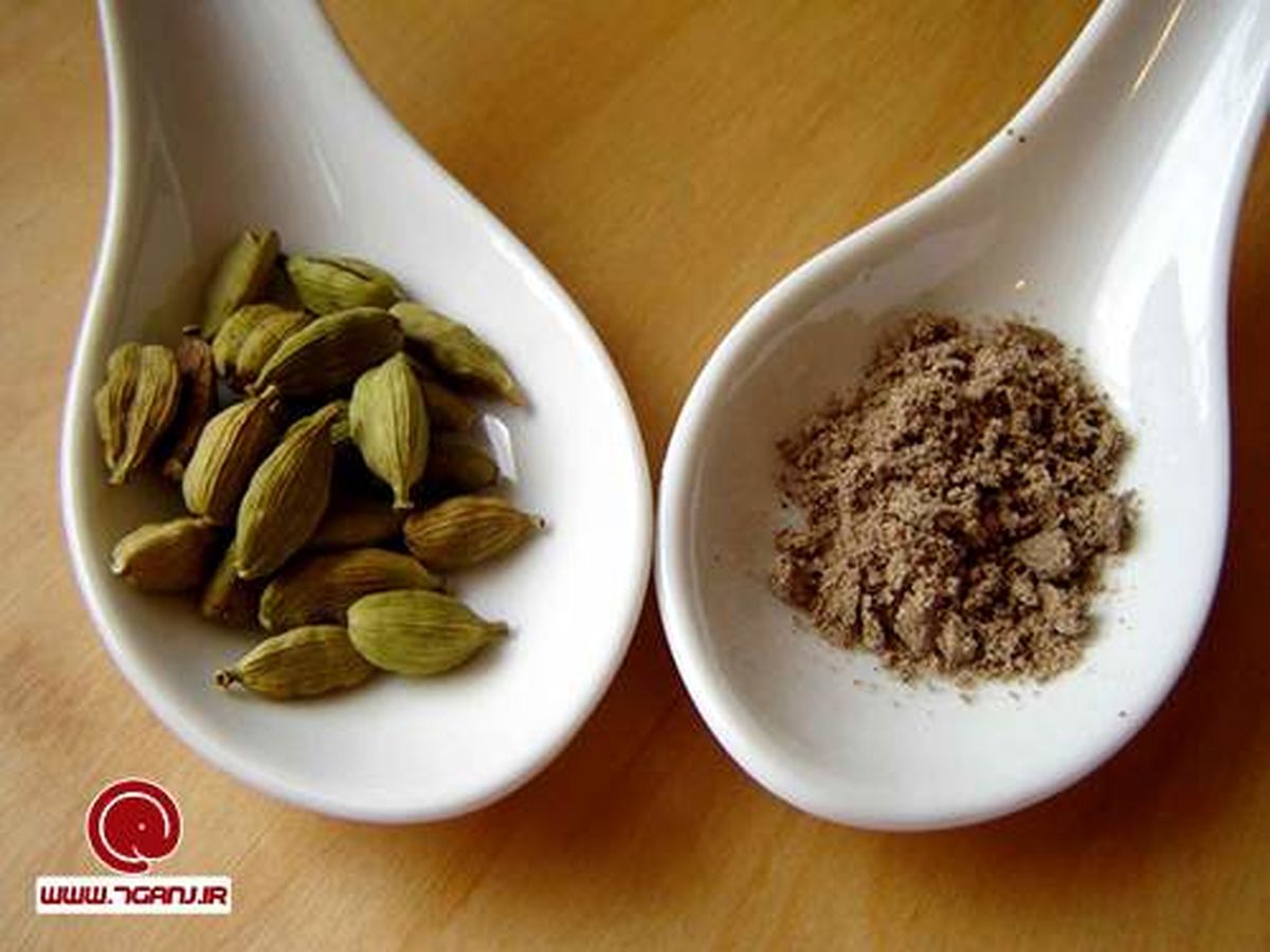 آشنایی با خواص و مضرات هل