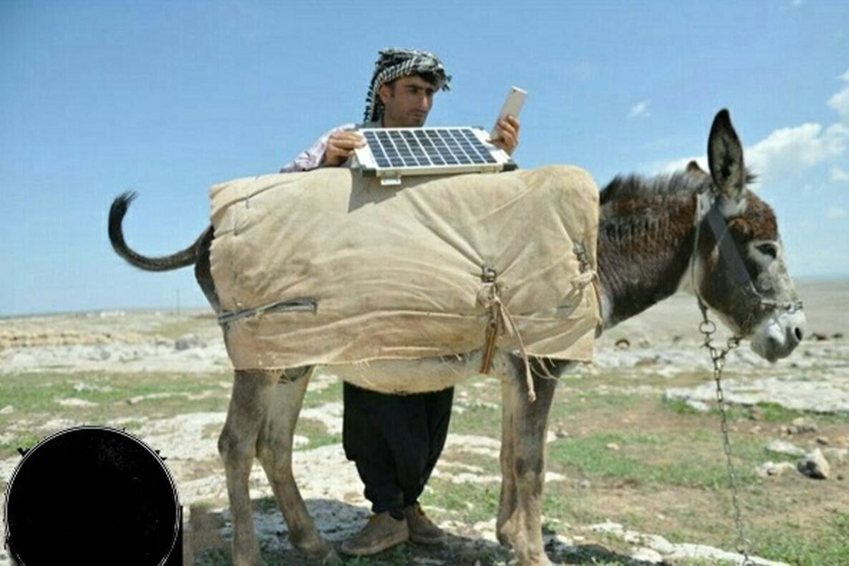 الاغی که گوشی موبایل شارژ می کند