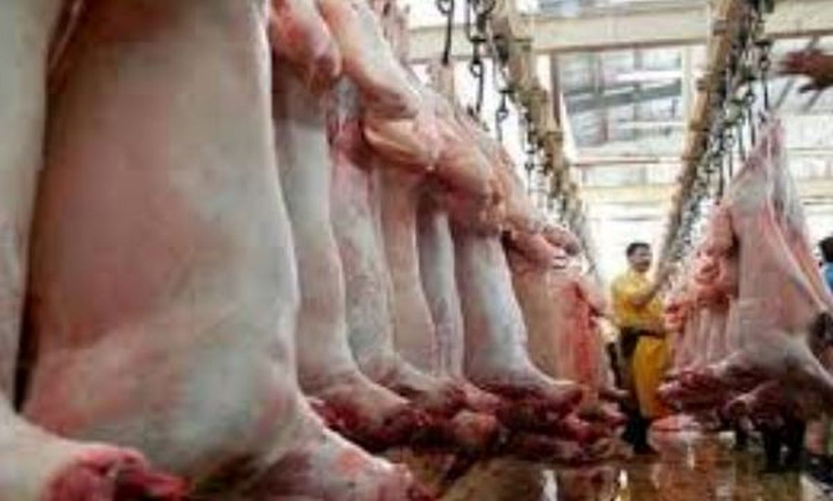 ثبات قیمت گوشت گوساله درآستانه عیدقربان