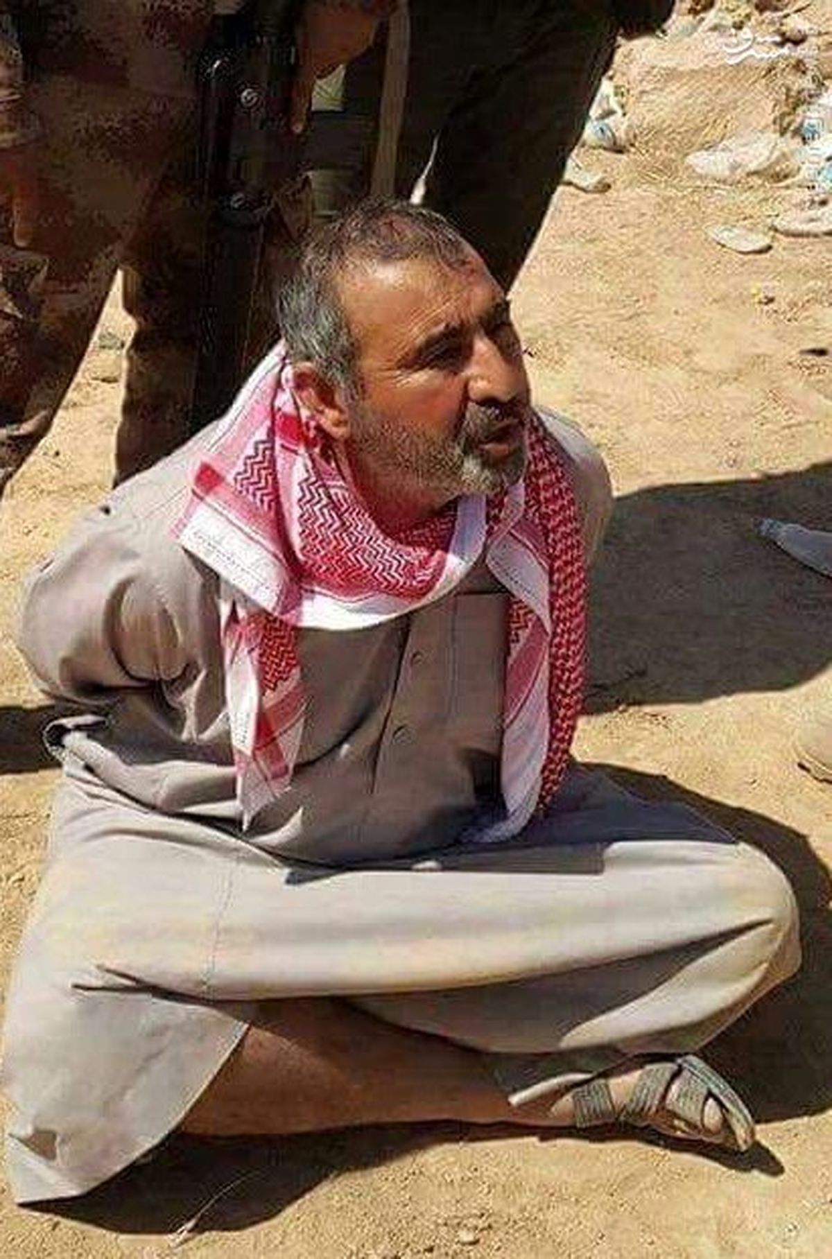 دستگیری قهرمان جهاد نکاح در فلوجه! +عکس