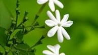 برکت چگونه حاصل می‌شود؟