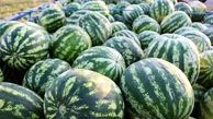 میزان هندوانه در بازار افزایش یافت