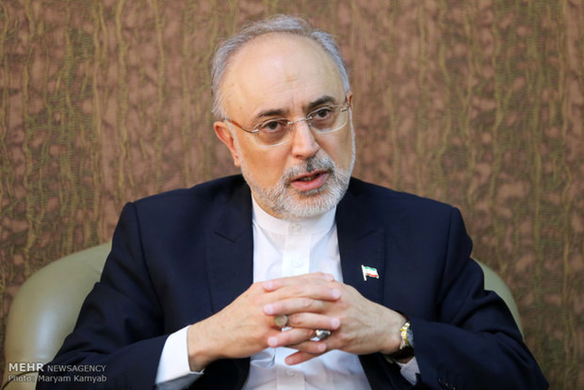 عکس العمل صالحی از واکنش شتابزده اروپایی‌ها به خروج آمریکا از برجام
