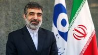 کمالوندی:راکتور اراک ۳ تا ۴ سال آینده به بهره‌برداری می‌رسد