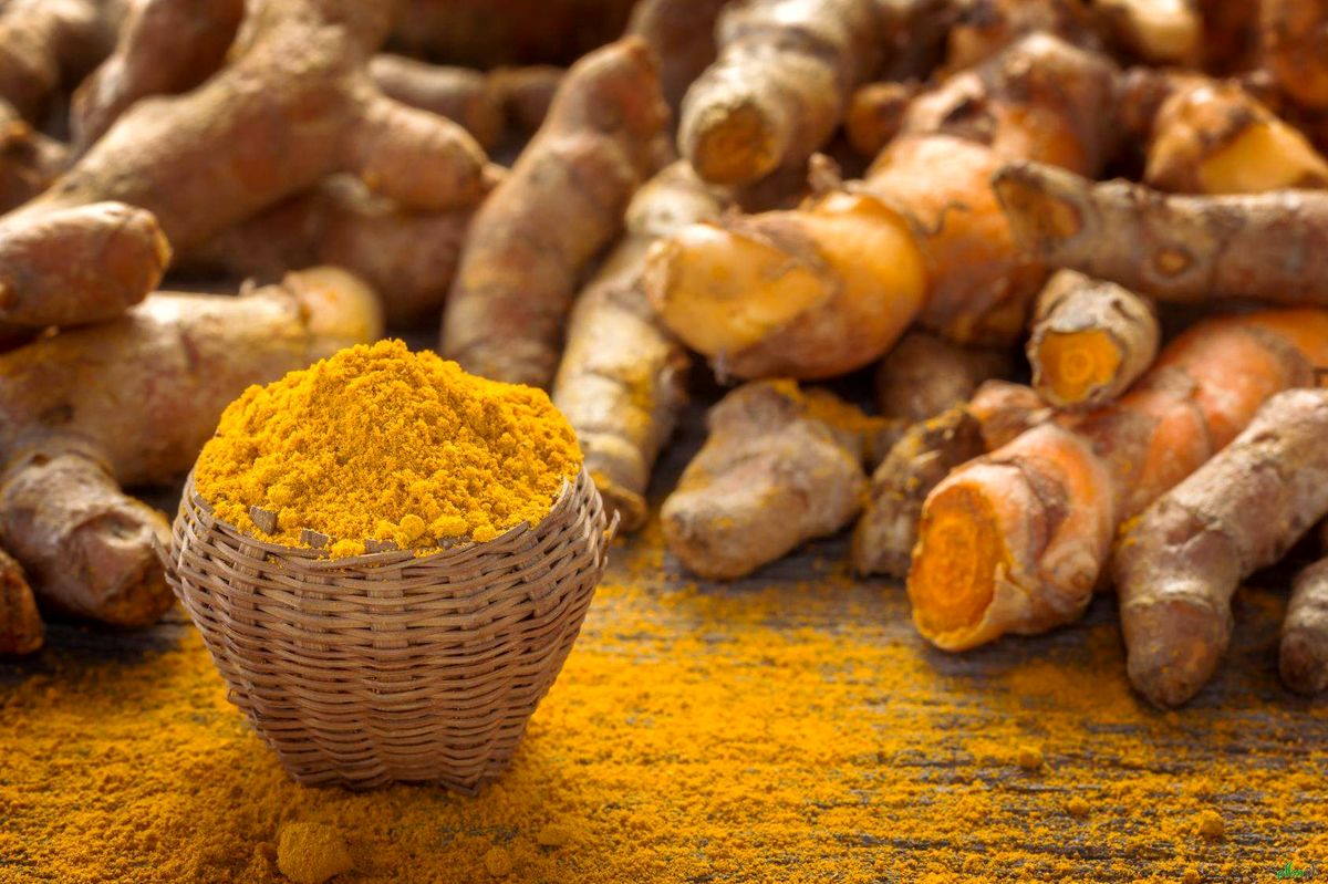 نرخ زردچوبه در بازار 