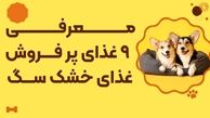 پرفروش ترین غذاهای خشک سگ؛ معرفی 9 غذای پر فروش