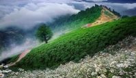 خنک ترین جای ایران در تابستان این 10 شهر هستند