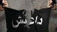 ۴ سال زندان برای انتشار پرچم داعش