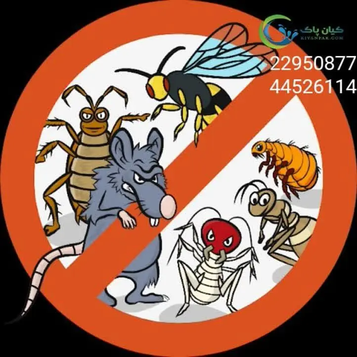 از بین بردن کنه