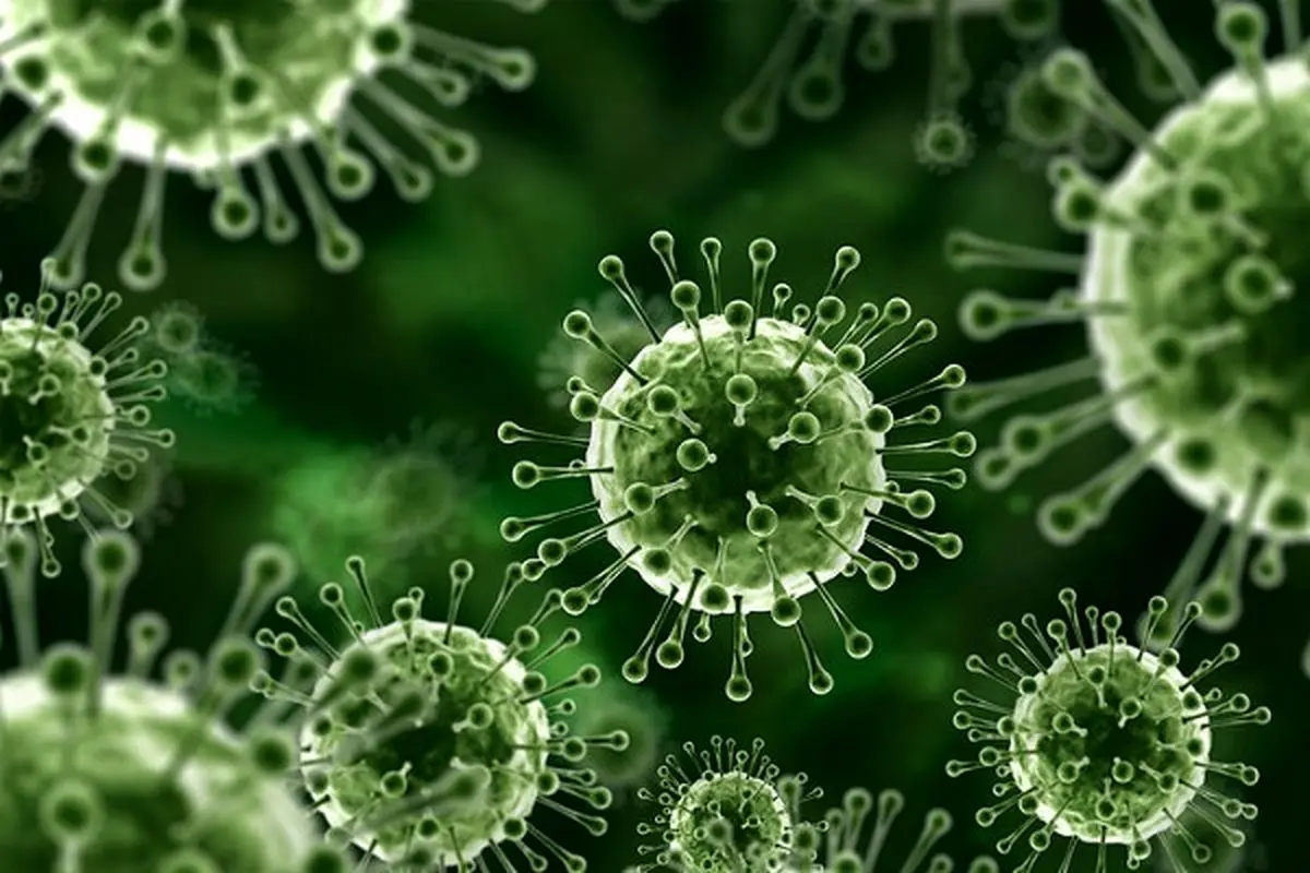 ویروس نیپا چیست؟