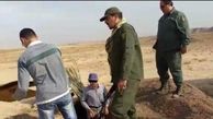 دستگیری متخلفان زنده‌گیری پرندگان شکاری کمیاب و در حال انقراض