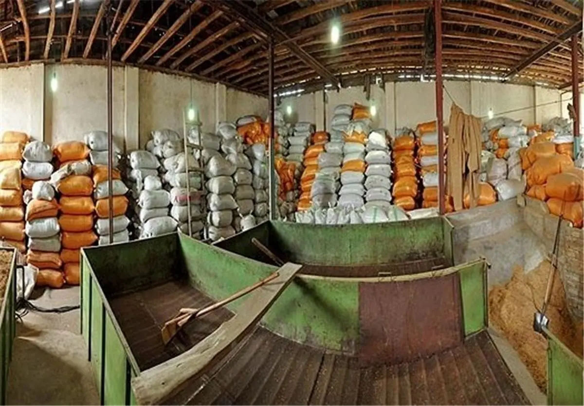 نرخ انواع برنج در شمال کشور اعلام شد