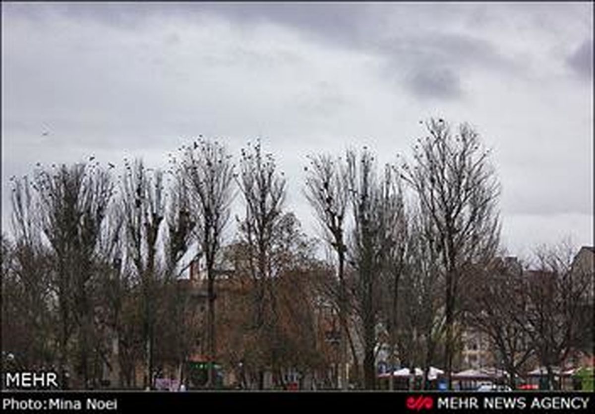 بارش پراکنده در شمال و غرب کشور طی ۲۴ ساعت آینده