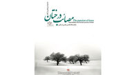 نمایشگاه عکس «مصائب درختان» 