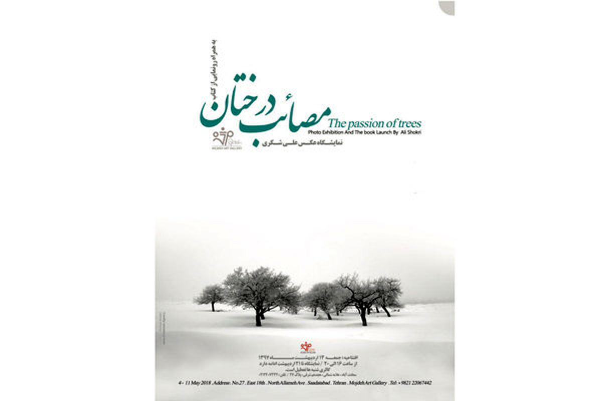 نمایشگاه عکس «مصائب درختان» 