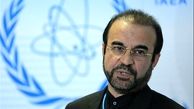نجفی: بسته شدن پرونده ایران؛ شرط اجرای برجام