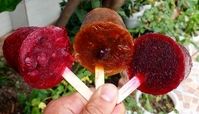 طرز تهیه اسکمو آلوچه شمالی ترش و خوشمزه