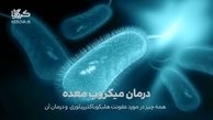 درمان جدید میکروب معده با پروپولیس کرویا