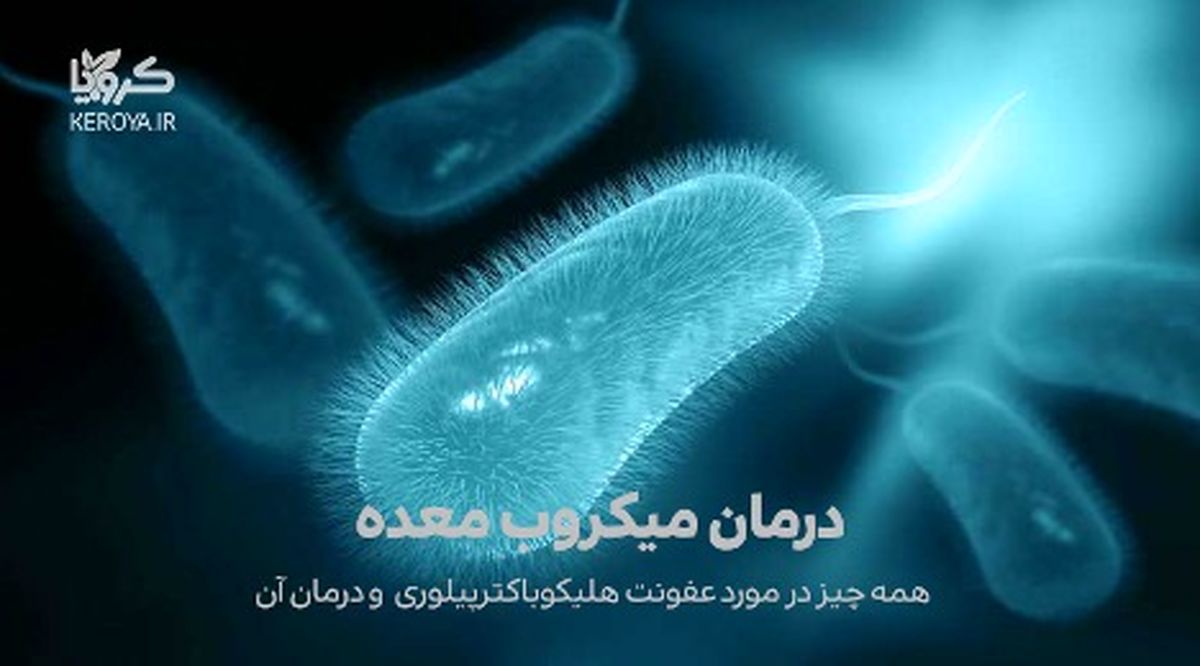 درمان جدید میکروب معده با پروپولیس کرویا