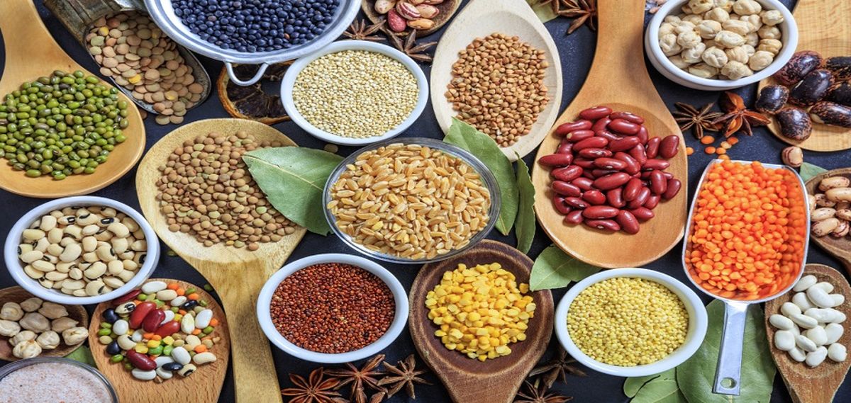 آشنایی با مهم ترین دانه های روغنی و فواید هریک از آنها برای بدن