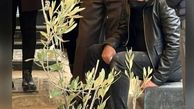 تصویری غمبار از آریا عظیمی نژاد در مراسم خاکسپاری مادرش