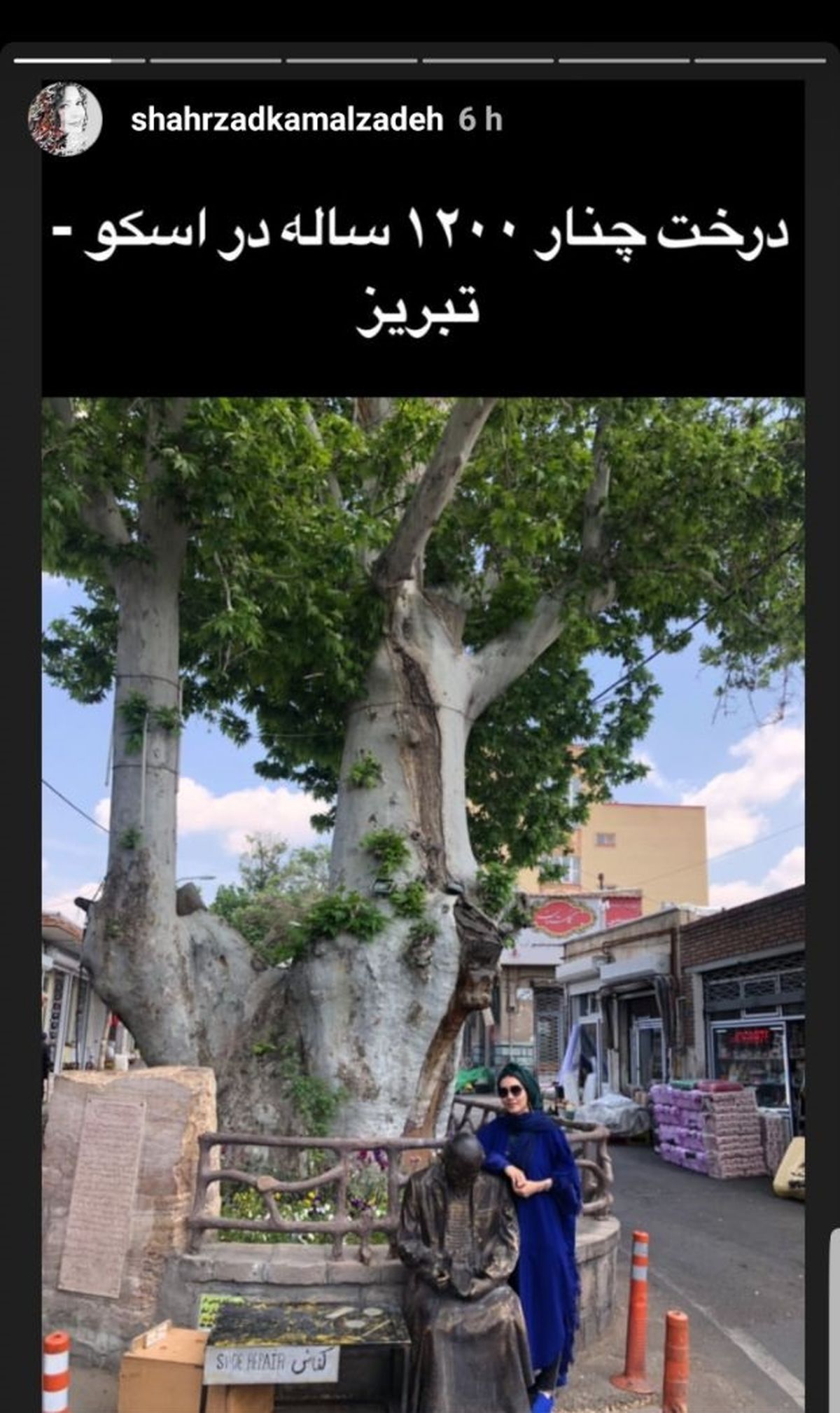 شهرزاد کمال زاده در کنار درخت کهنسال + عکس