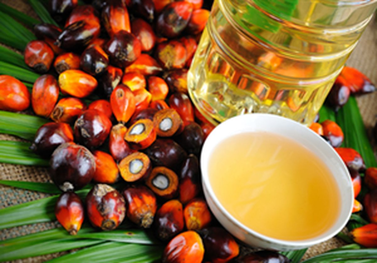 واردات روغن پالم تنها با اخذ مجوز استاندارد 