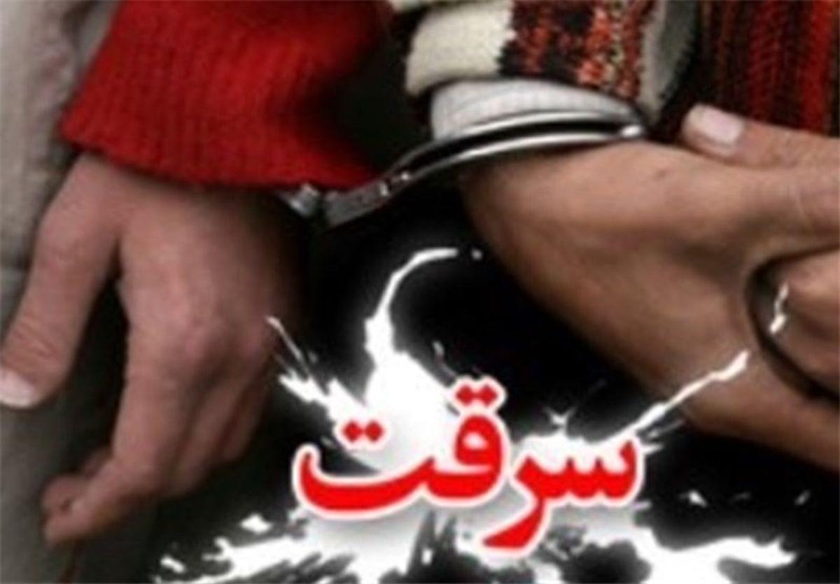 پاتک پلیس به سارقان و زورگیران غرب پایتخت 