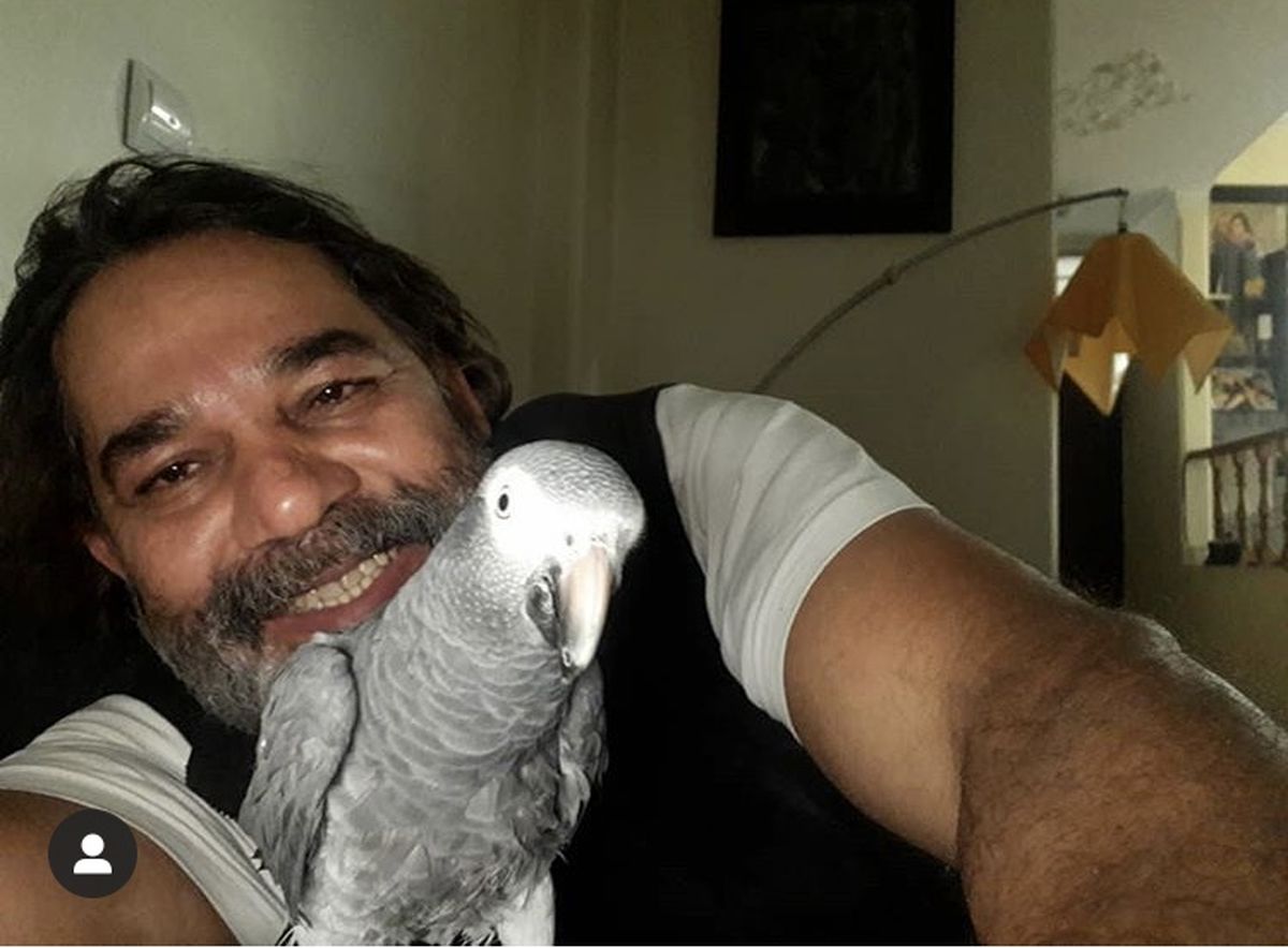 پرنده خانگی داریوش سلیمی + عکس
