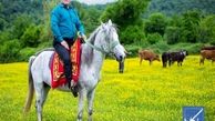 قرارداد اجاره دامداری (مهم!) را چگونه بنویسیم؟
