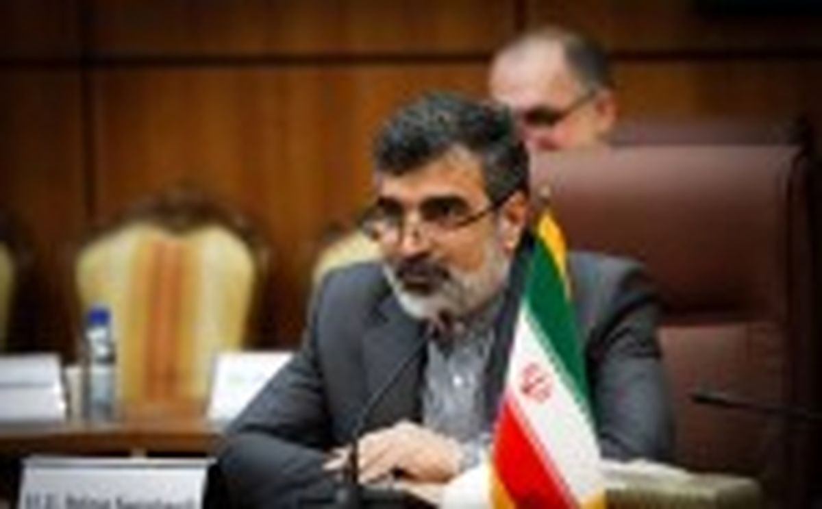 کمالوندی: فضاسازی رسانه‌های آمریکایی از روی استیصال است