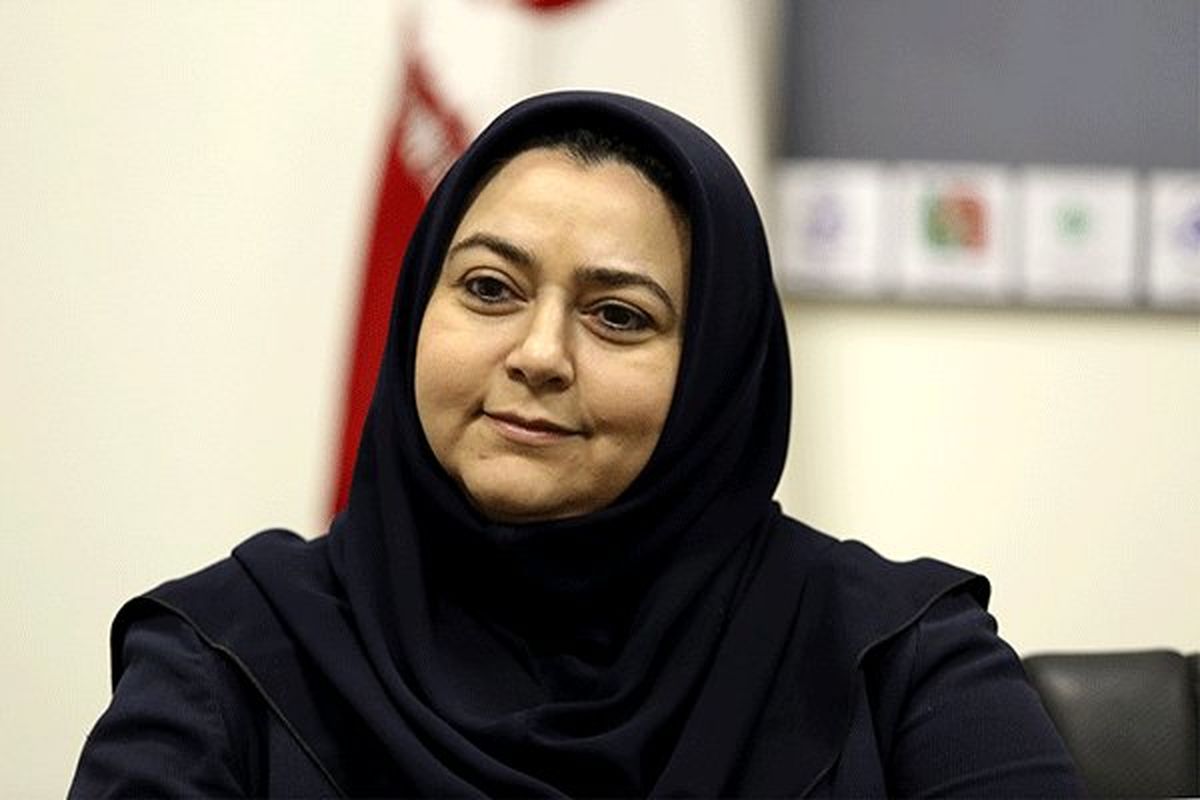 عاقبت هواپیماهای برجامی چه شد؟