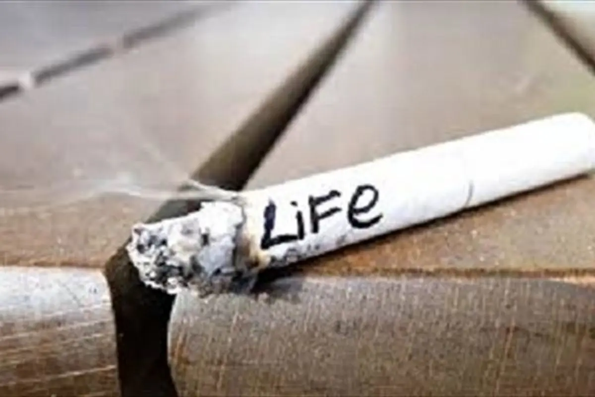 مکانی امن برای سیگار کشیدن +عکس