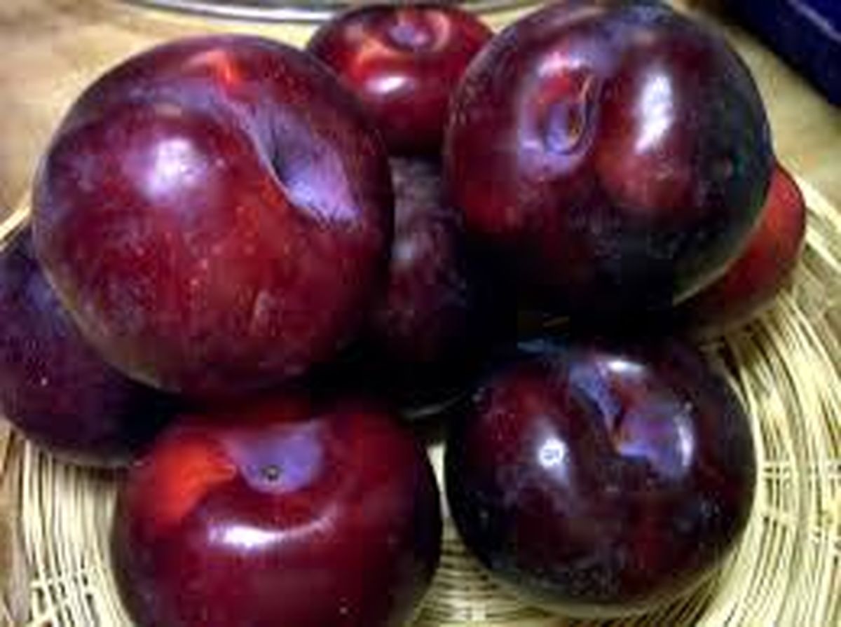 برای جلوگیری از ابتلا به پوکی استخوان این میوه را بخورید
