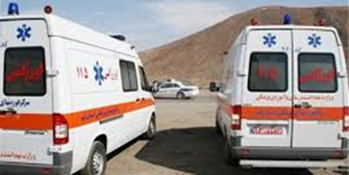 ماه آینده 700 دستگاه آمبولانس در مناطق کشور توزیع می شود