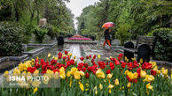 باران در راه است