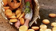خاطره بازی غزل شاکری + عکس