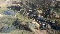 کشته‌شدن ۴۵ داعشی و کشف ده‌ها بمب در اطراف بغداد