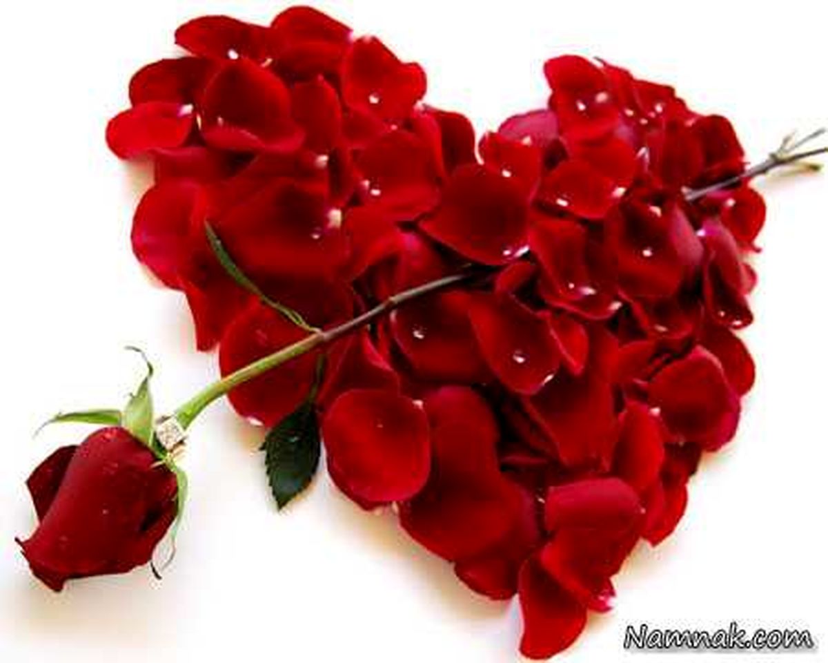 جملات عاشقانه که زنان را مجذوب میکند