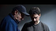  پیمان معادی با فیلم ناگهان درخت به سینما می‌آید