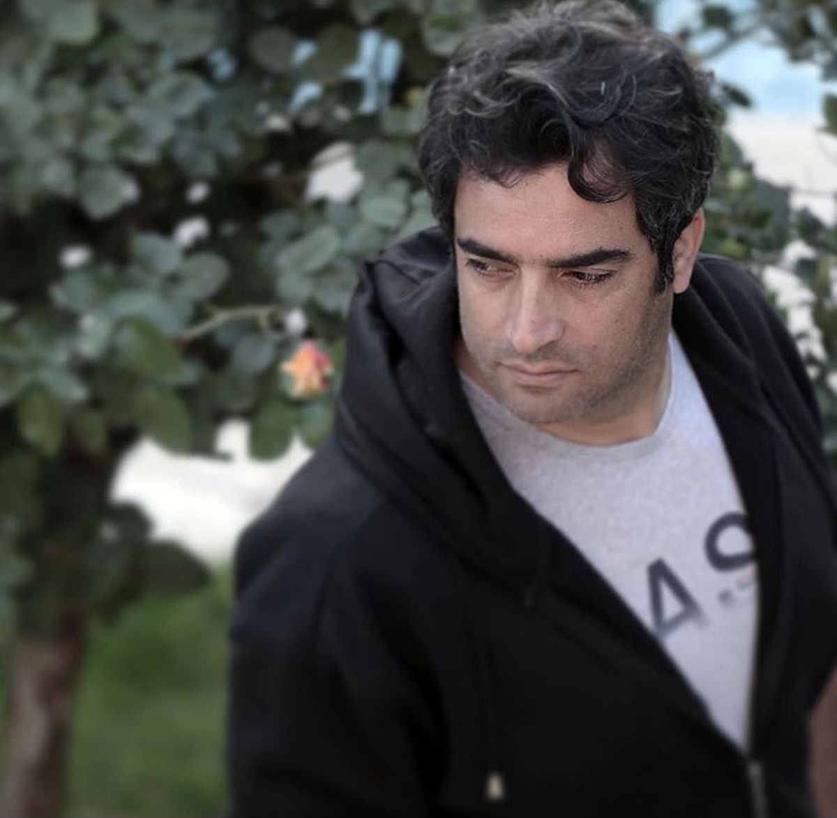 عکس جدید منوچهر هادی