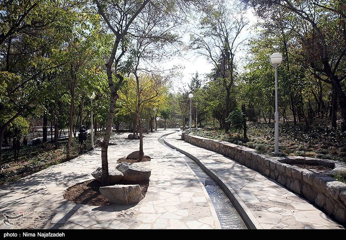 احداث دومین پل طبیعت در تهران