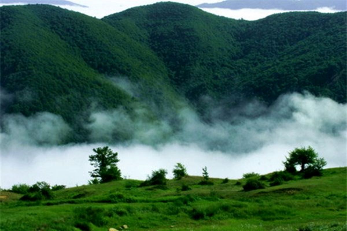 آقایی:سال ۹۷نقطه عطف منابع طبیعی در کشور