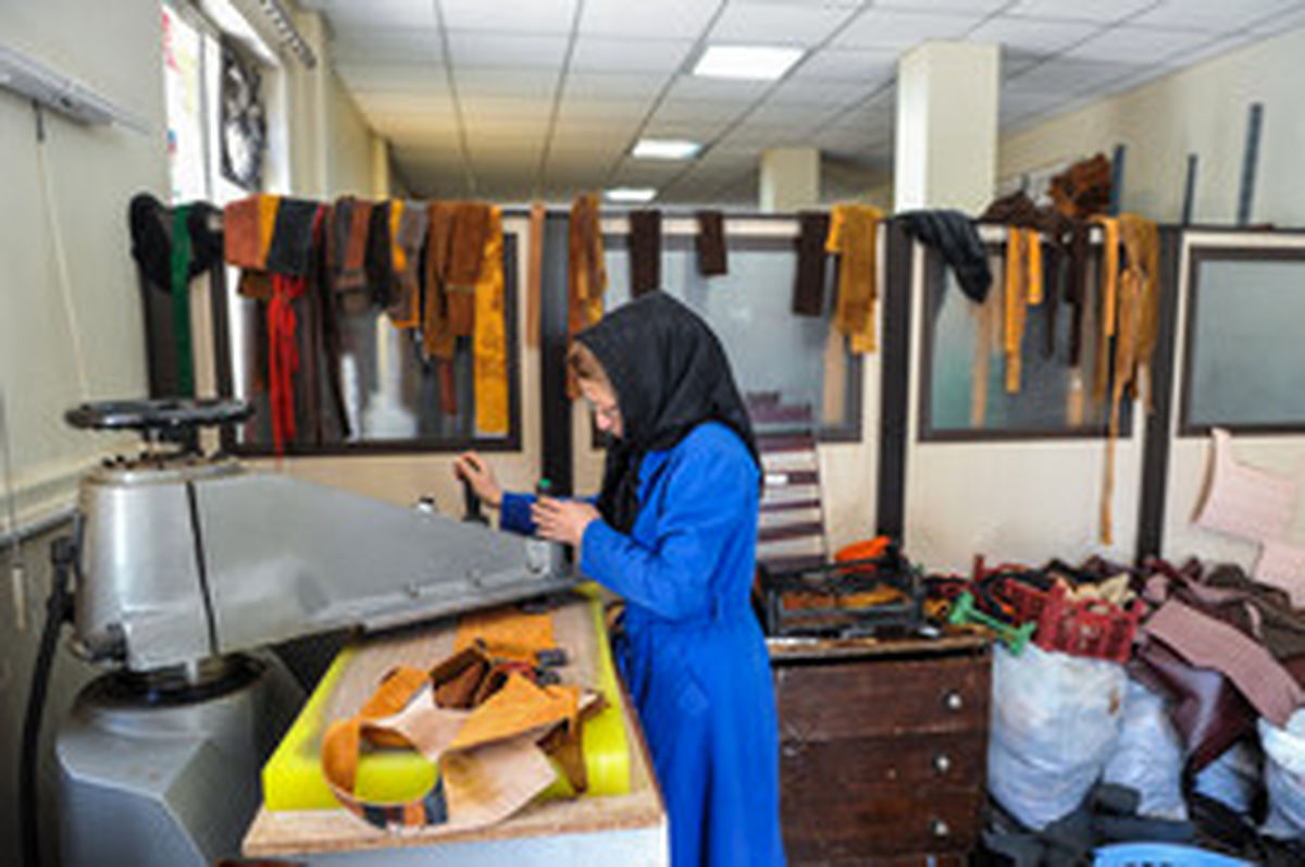 ضرورت فراهم‌سازی تسهیلات برای توسعه مشاغل خانگی