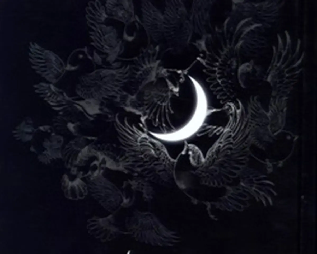 امشبی را شه دین در حرمش مِهمان است