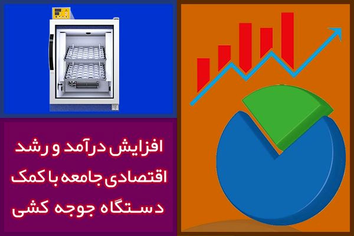 افزایش درآمد و رشد اقتصادی جامعه با کمک دستگاه جوجه کشی