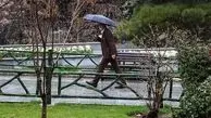 بارشها در سطح کشور تا پنجشنبه ادامه دارد